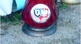 Pogrzeb kibica Zawiszy