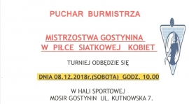 Mistrzostwa Gostynina w piłce siatkowej kobiet