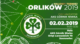 Zapraszamy na Halowy Turniej Orlików 2019