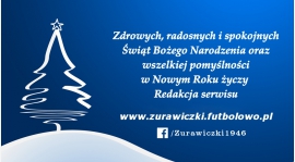 Wesołych Świąt Bożego Narodzenia !