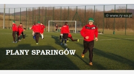 Plany sparingów Brzozovii