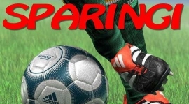 SPARINGI