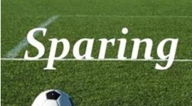 Sparing #1