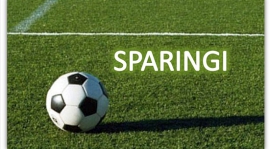 Sparingi