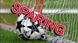 SPARING z LKS Gwiazda Skrzyszów dn. 17.02.2018r o godz. 15:00
