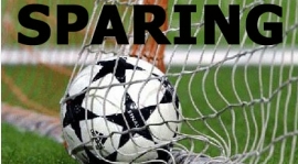 09-08-2017 SPARINGI rocznika 2003