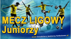 1 Kolejka: Stal Gorzyce - LZS Zdziary 6:0.