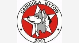TERMINY MECZY WYJAZDOWYCH