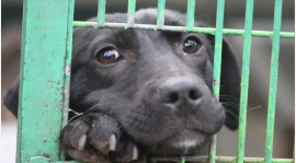 328,18zł zberane podczas Turnieju o Puchar Ligi