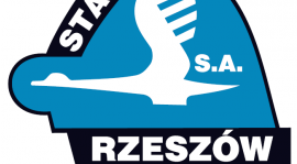 Najniższy wymiar kary. Stal - Cosmos 3-0