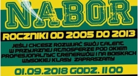 Ogłaszamy nabór do Górnika !!