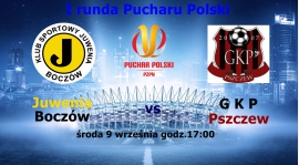 Puchar Polski 2015
