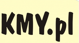 Portal KMY.pl oficjalnym partnerem medialnym Dalinu