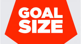 Rozpoczęliśmy współpracę z goalsize.com!