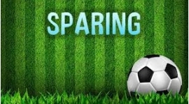 Sparing z Hevelion Gdańsk - ODWOŁANY!!!