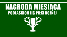 Nagroda miesiąca - czekamy na Wasze nominacje!