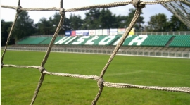 WYSZARPANY REMIS