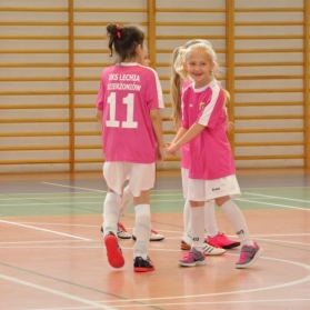 FEMGOL LUBIN 27.11.2016