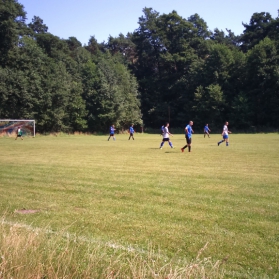 sparing Radnica 2015