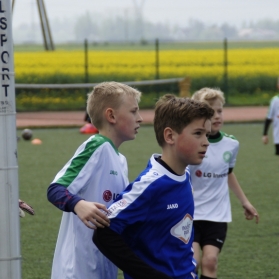 POLONIA-STAL II ŚWIDNICA