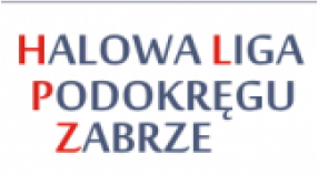 D1 MŁODZIK I DRUŻYNA GWARKA I ZABRZE AWANSOWAŁA DO TURNIEJU HLPZ