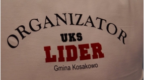 Wojewódzka Liga Młodziczek