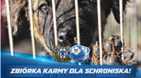 Zbiórka karmy dla konińskiego schroniska