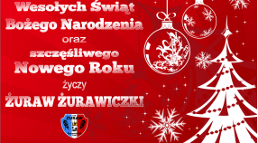 Wesołych Świąt Bożego Narodzenia !