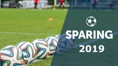 SPARINGI 2019