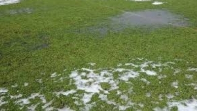Spotkanie ze Świerklanami jednak 25.04.2018 roku !!!