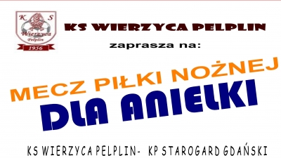 Gramy dla Anielki