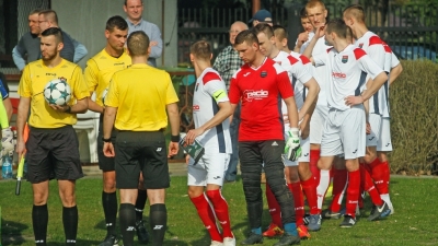 Kadra na Polonię