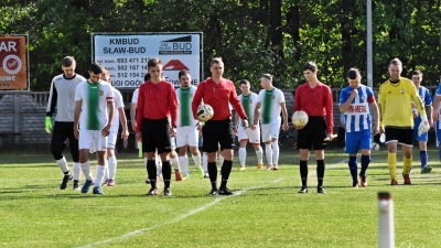 Kolejka 23 - Błękitny Herby 3:3 Płomień Przystajń