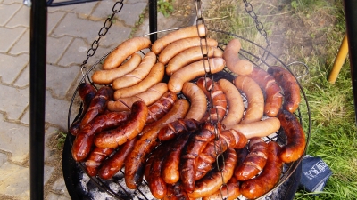 Zdjęcia Piknik 2017r.