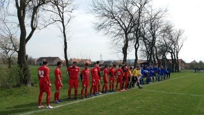 ZBICI JAK PSY W OSIEKU