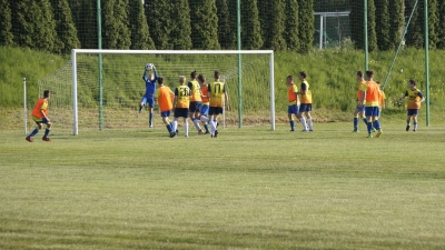 6 BRAMEK W LIDZE WZPN