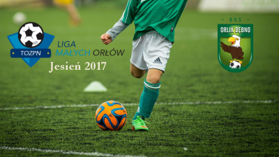 Liga Małych Orłów