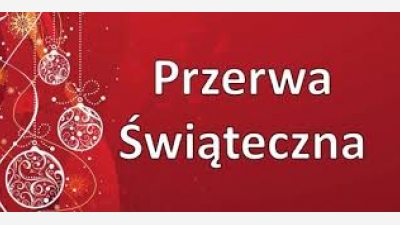 Przerwa świąteczna 3-5 latki Lider "KIDS"