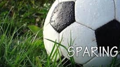 Ostatni sparing