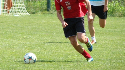 Sparingi Lato 2018
