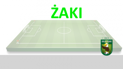 Zakończenie sezonu roczniki 2010 i 2011