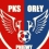 Orły Pniewy