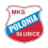 Polonia Słubice