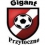 Gigant Przytoczno
