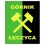 Górnik Łęczyca
