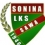 Sawa Sonina