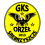 Orzeł Srebrzyszcze