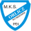 Orlicz Suchedniów