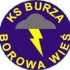 Burza Borowa Wieś