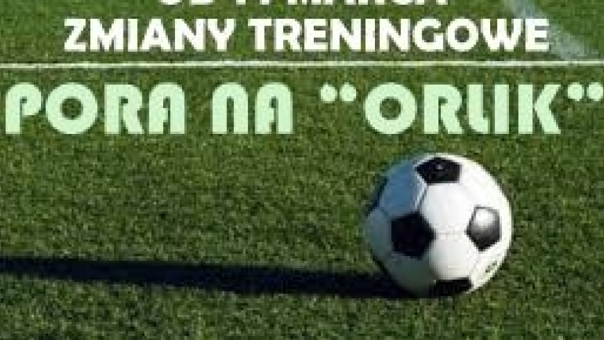 MŁODZIKI dzisiaj na ORLIKU.